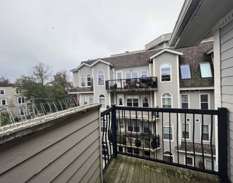 5505402 Inglis Street, Halifax, Nova Scotia B3H 1J9 Ansell Property